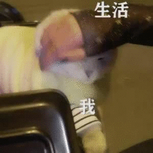 微信图片_20220117113558.gif