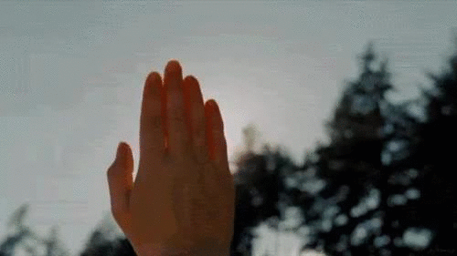 微信图片_20220117113626.gif