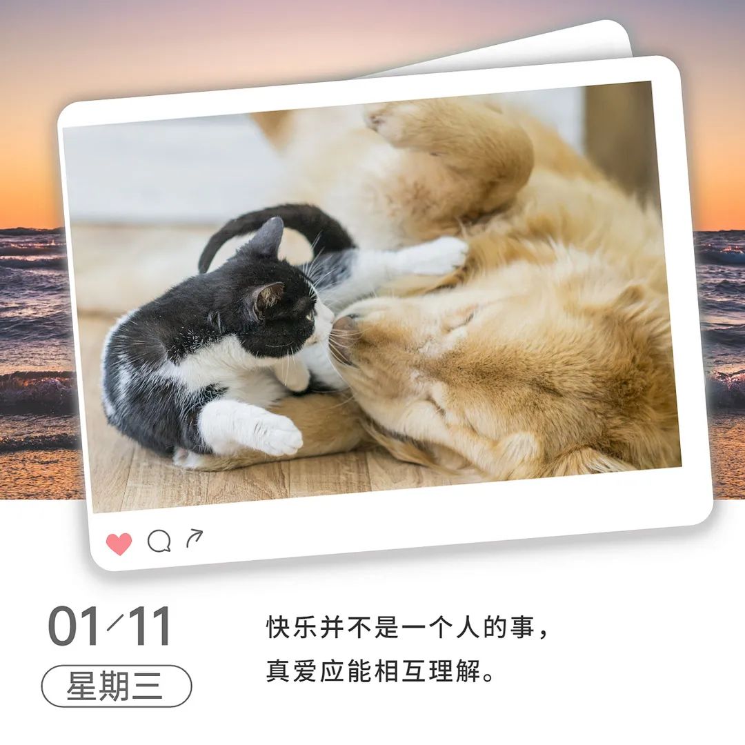 微信图片_20220117153557.jpg